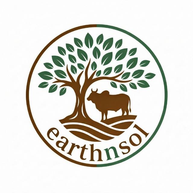 EarthNsol